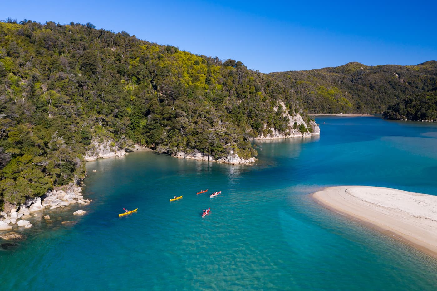 Person paddling a kayak or SUP on calm, clear water in a sheltered bay in Golden Bay, New Zealand