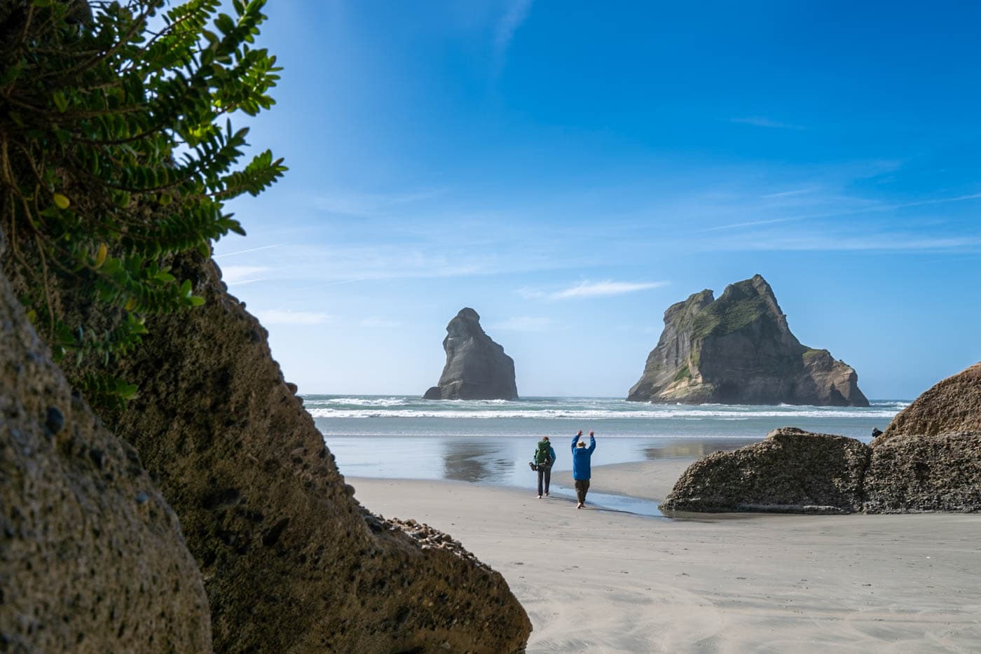 Coastal walking track along a quiet Golden Bay-style beach in New Zealand